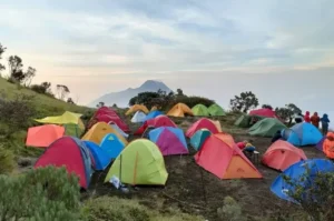 Berbagi Pengalaman Pendakian Gunung Merbabu