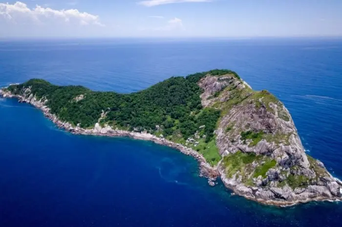 Snake Island Brazil, Destinasi Paling Berbahaya di Dunia yang Terlarang untuk Dikunjungi